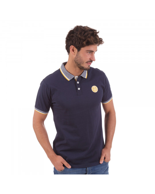 Polo V31