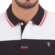 Polo V43